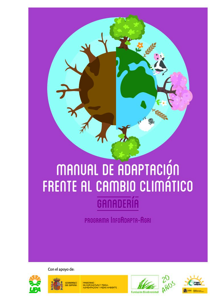UPA HUELVA DENUNCIA INCUMPLIMIENTOS DE LA LEY DE LA CADENA ALIMENTARIA EN LA FRESA DESTINADA A INDUSTRIA